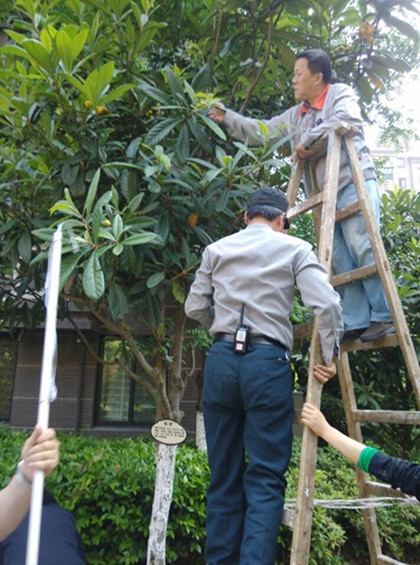 中国·KY开元(集团)股份有限公司-官方网站