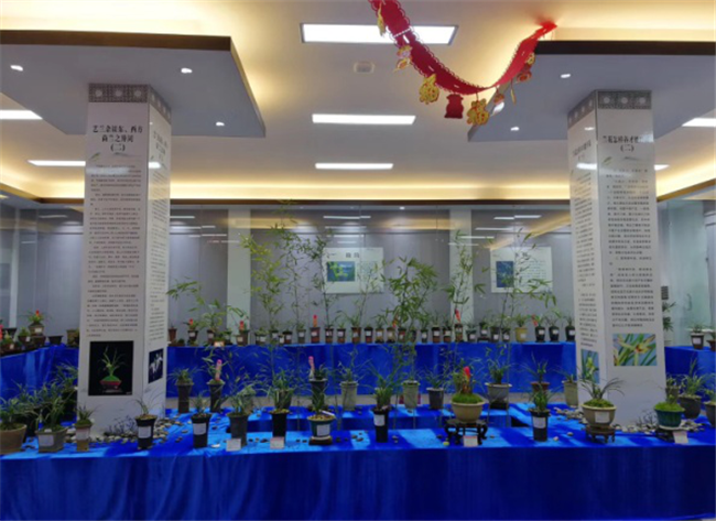 中国·KY开元(集团)股份有限公司-官方网站