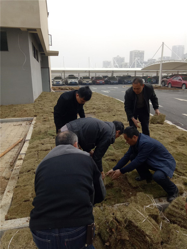 中国·KY开元(集团)股份有限公司-官方网站