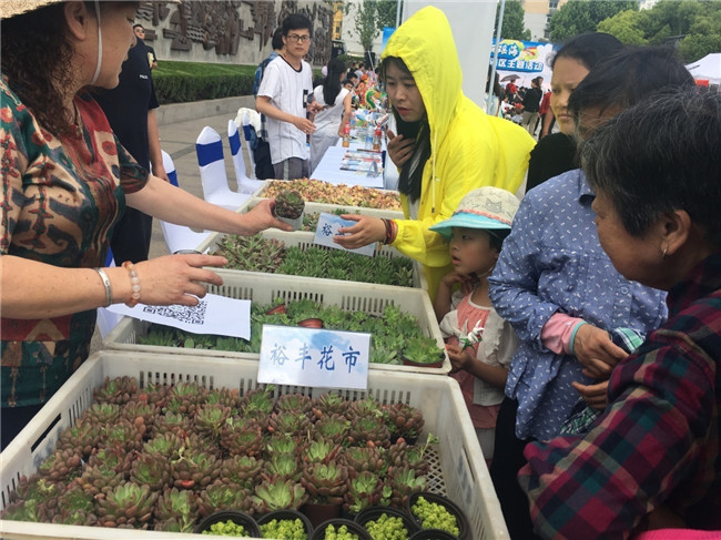 中国·KY开元(集团)股份有限公司-官方网站