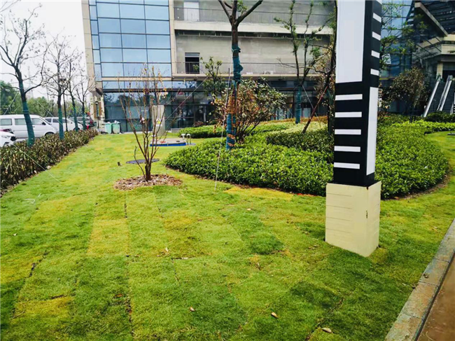 中国·KY开元(集团)股份有限公司-官方网站