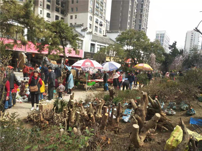 中国·KY开元(集团)股份有限公司-官方网站