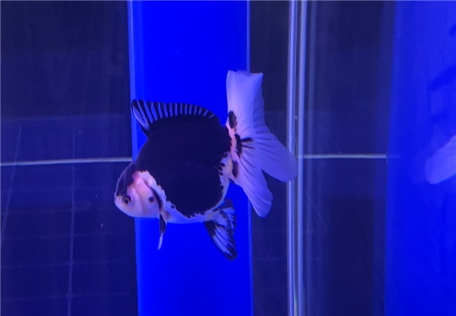 中国·KY开元(集团)股份有限公司-官方网站