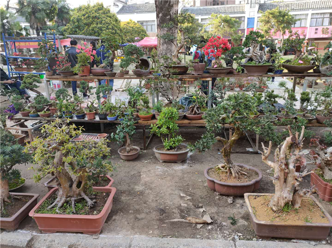 中国·KY开元(集团)股份有限公司-官方网站