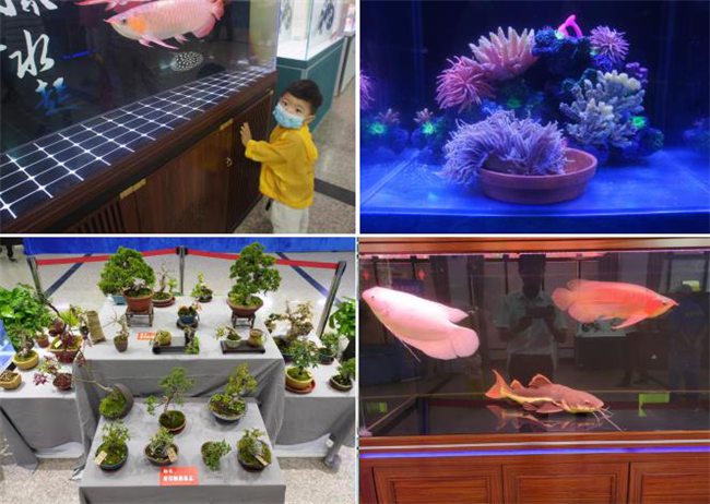 中国·KY开元(集团)股份有限公司-官方网站