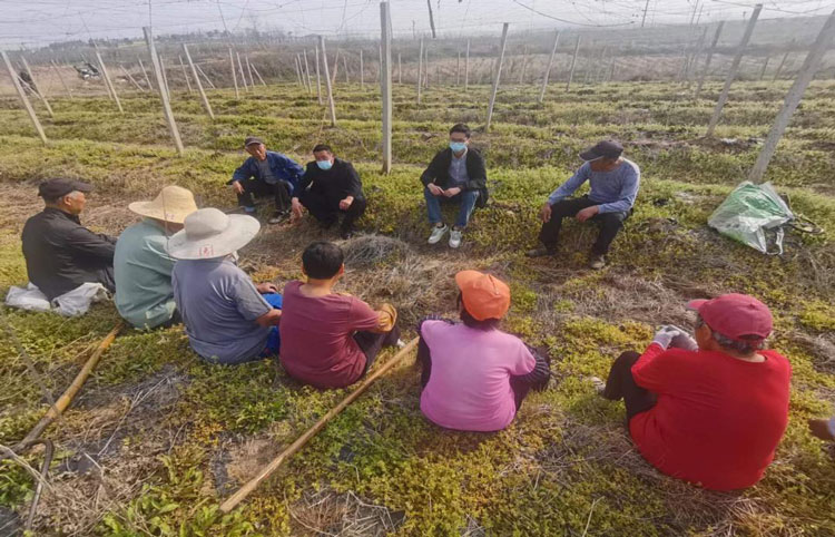 中国·KY开元(集团)股份有限公司-官方网站