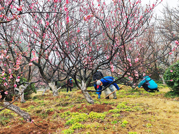 中国·KY开元(集团)股份有限公司-官方网站