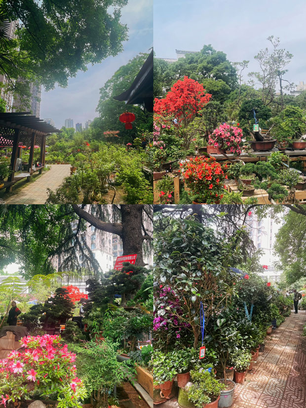 中国·KY开元(集团)股份有限公司-官方网站