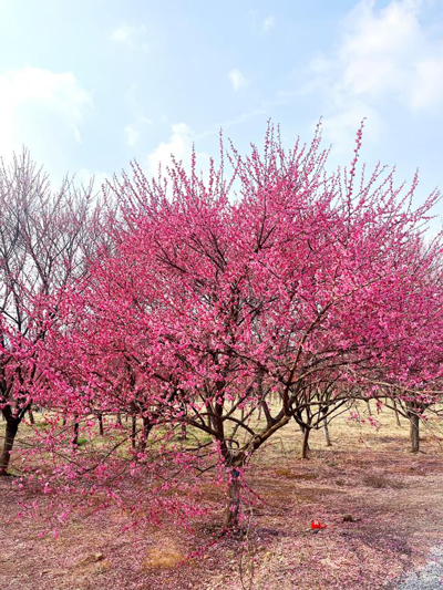 中国·KY开元(集团)股份有限公司-官方网站